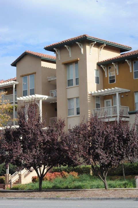 Apartment building with a tree in front.