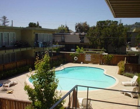 A pool surrounded by a deck and trees.