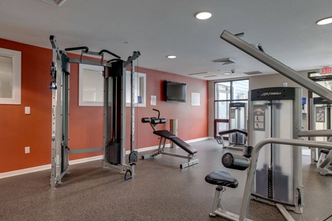 A gym with a variety of equipment including a squat rack, bench, and weights.