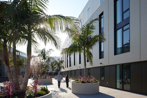 A modern building with a courtyard and palm trees.