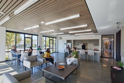 A group of people are sitting and standing in a modern open plan office space.