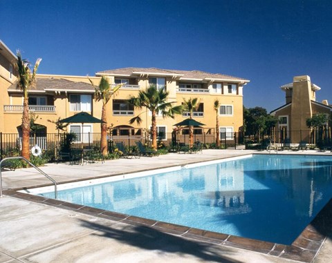 A large swimming pool in front of a building with palm trees.