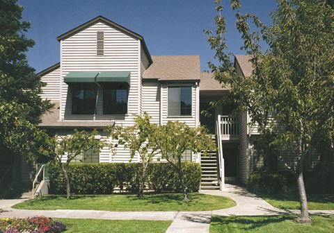 A house with a green awning and a tree in front.