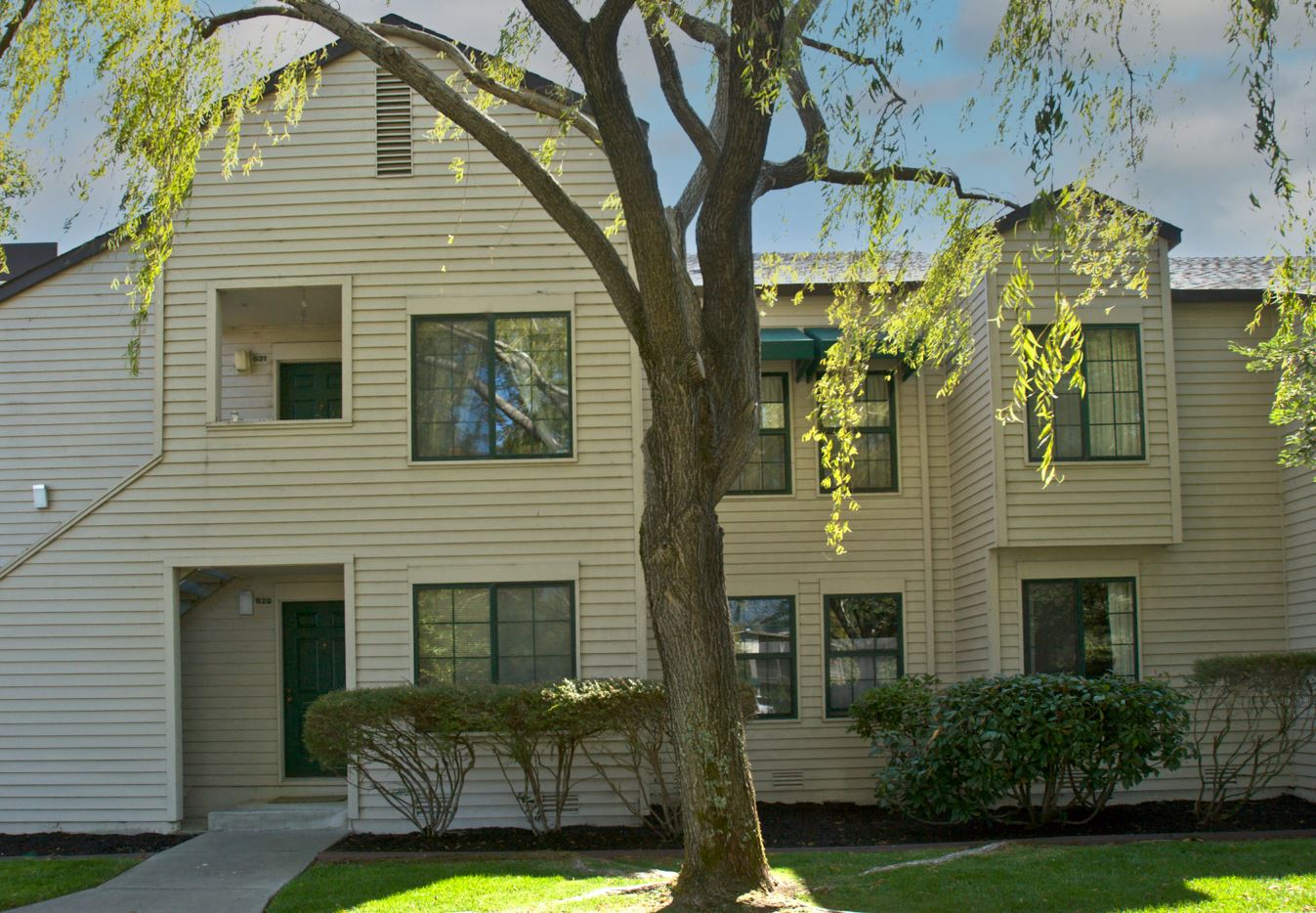A tree in front of a two-story house.