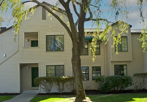 A tree in front of a two-story house.