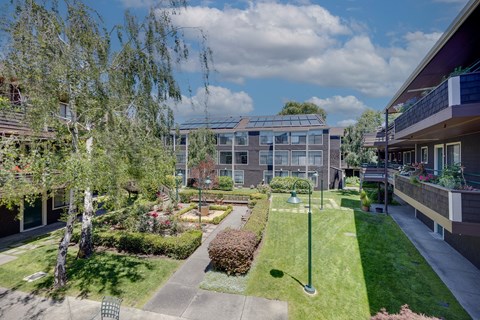 A sunny day at a residential area with apartment buildings and greenery.