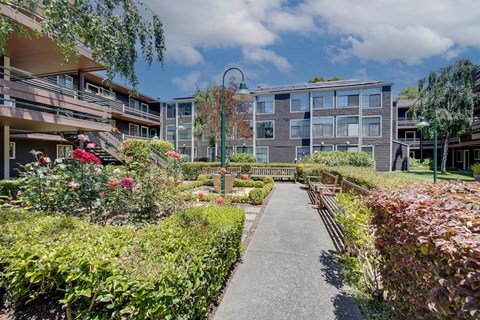 A garden with a concrete walkway in the middle of it.