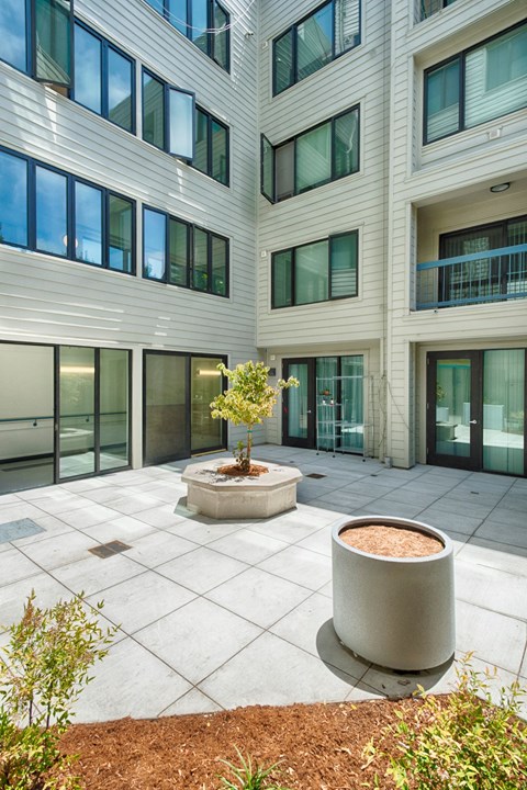 A courtyard with a tree and a planter.