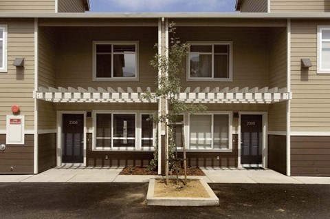 A tree is in front of a building with the number 2006 on it.
