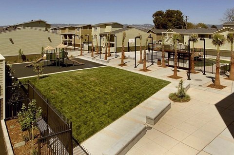 A playground area with a slide and a green lawn.