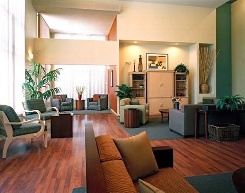 A living room with a long couch and a green plant.