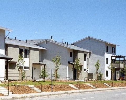 A row of modern houses with trees in front.