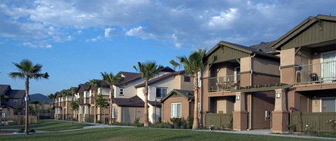 A row of houses with balconies and palm trees in front.