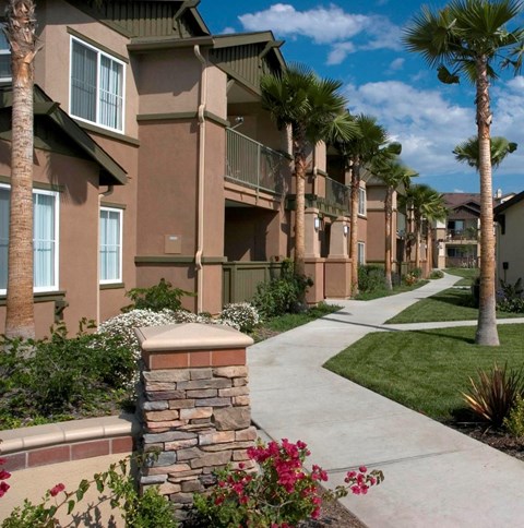 A row of apartment buildings with a sidewalk and palm trees.