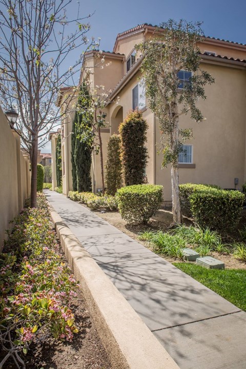 A long, narrow sidewalk runs down the center of a tree-lined street.
