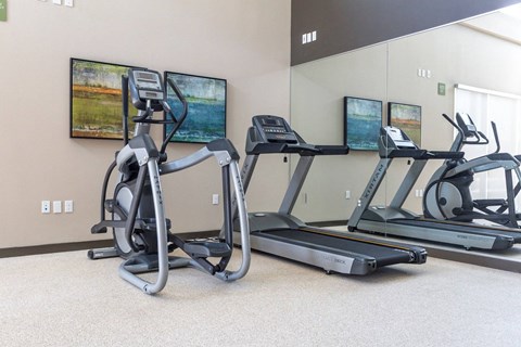 Three treadmills and a stationary bike in a gym.