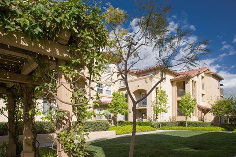 A tree with green leaves stands in front of a building.
