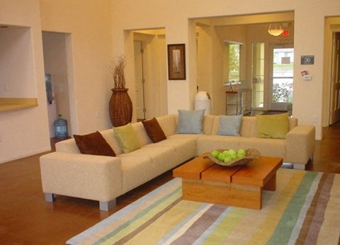 A living room with a sofa, a coffee table, and a rug.