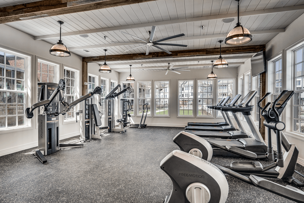 Fitness Center Cardio Equipment