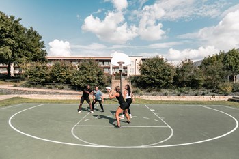 Basketball Court Basketball Court - Photo Gallery 5