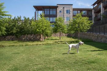 Pet-friendly green spaces with pet stations throughout the community