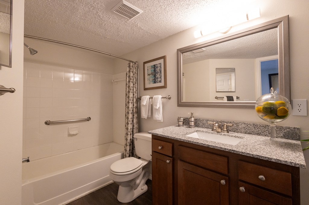 the preserve at ballantyne commons apartments bathroom with tub and sink and mirror