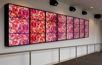 Art Gallery at CityWay, Indiana, 46204 - Photo Gallery 79