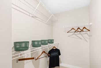 Spacious Closet View at Mural Lewis Center, Ohio