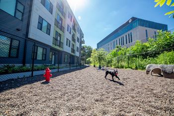 Bark Park with Agility Equipment at CityWay, Indianapolis