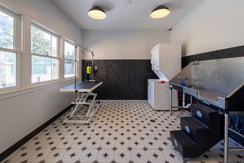 a kitchen with a sink and a refrigerator and a window