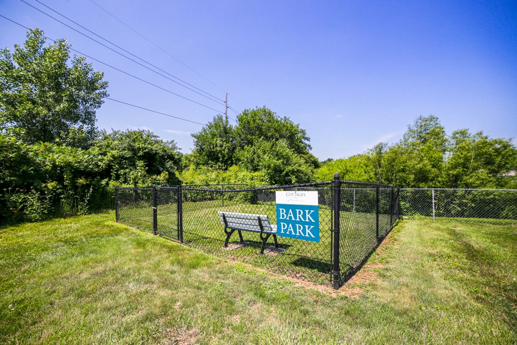 dog park with fence in grass
