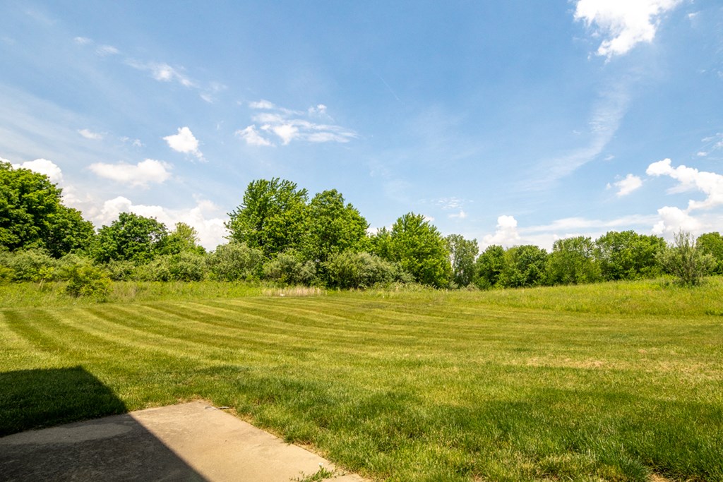 a grassy field with trees in the background