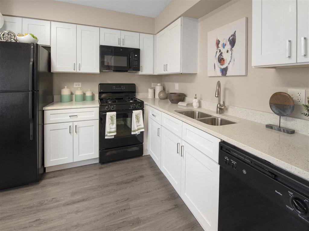 Upscale finishes in kitchen at The Winds at Poplar Creek, IL, 60194