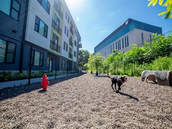 Outdoor pet park located on the north end of CityWay with agility court and play areas for dogs - Photo Gallery 41