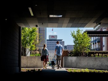 CityWay is a pet-friendly community - Photo Gallery 57