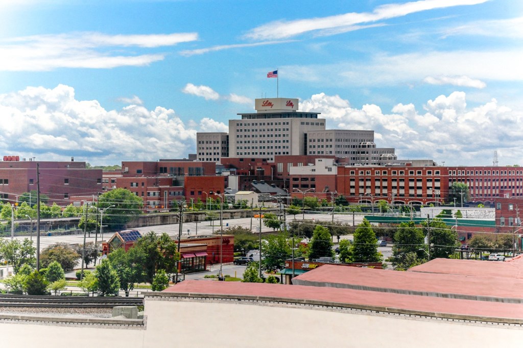 Community View From Roof at Janus Lofts, Managed by Buckingham Urban Living, Indiana