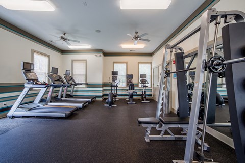 a gym with cardio equipment and weights