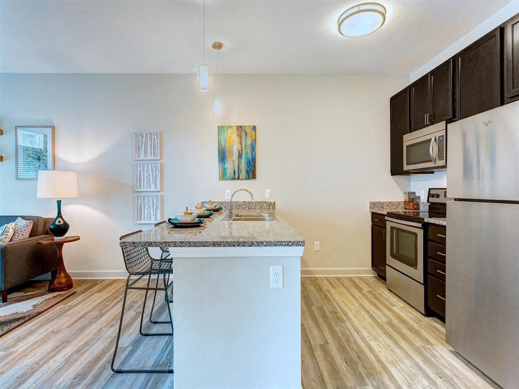 Granite Countertop, Dishwasher In Kitchen at Whetstone Flats, Nashville, TN