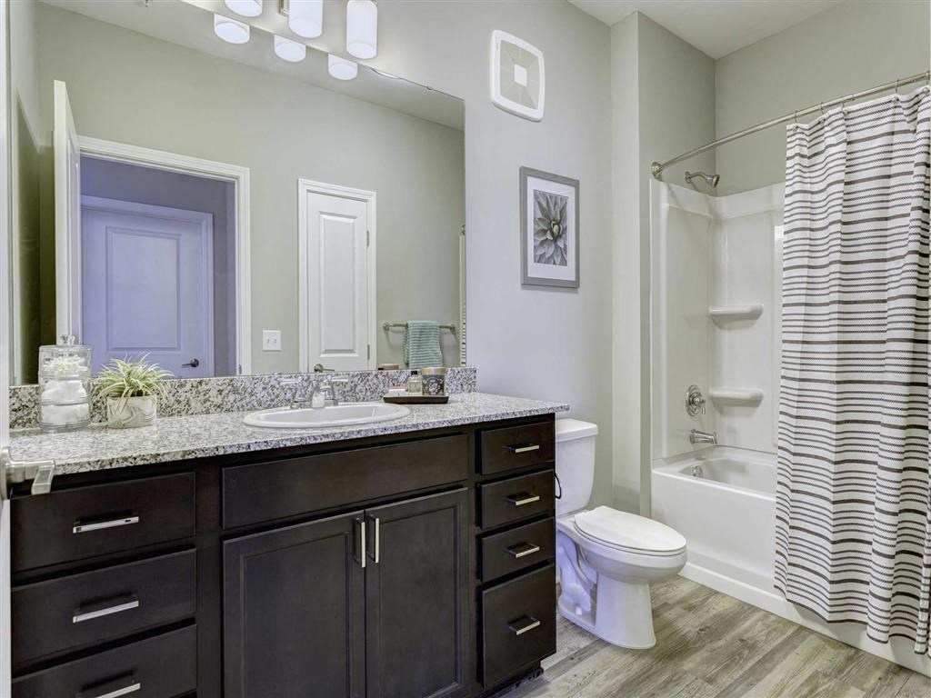 Mirror in Bathroom at Whetstone Flats, Nashville, Tennessee