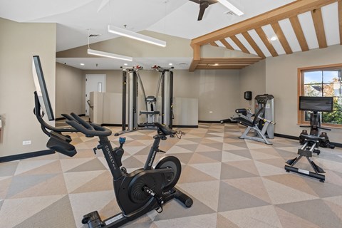 Gym at The Winds at Poplar Creek Apartments , Illinois 60194