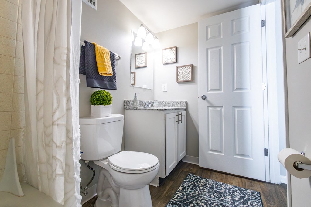a bathroom with a toilet and a sink and a shower