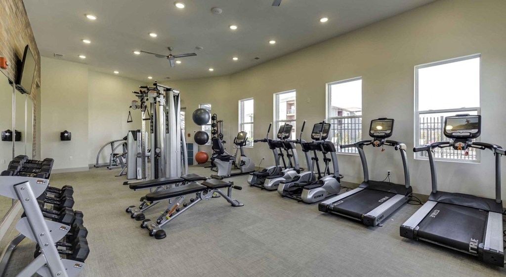 the gym is equipped with state of the art cardio equipment and weights at Echo Park at Perry Crossing Apartments, Plainfield, IN, 46168