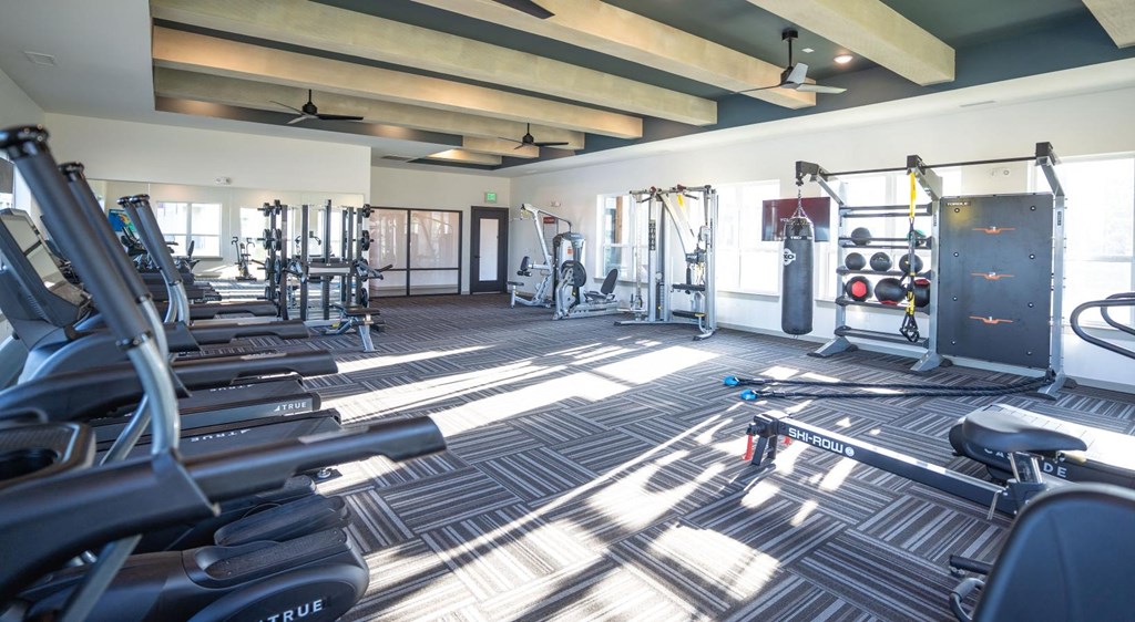 a gym with weights and cardio equipment in a room with windows