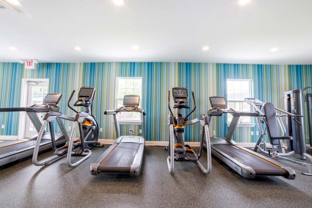 a gym with a variety of cardio equipment