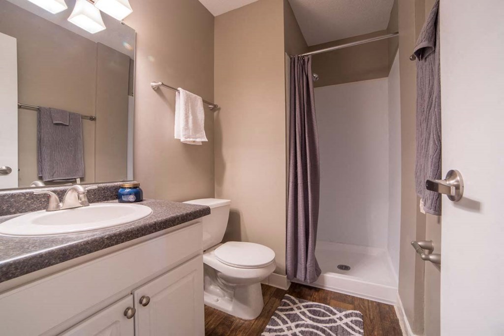 a bathroom with a sink toilet and a shower