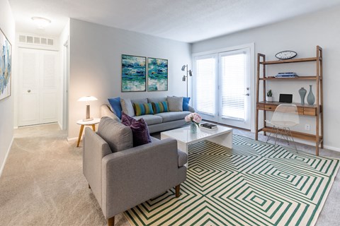 A living room with a grey couch and a patterned rug.