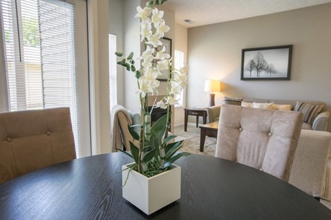 a living room with couches and a table with a plant on it