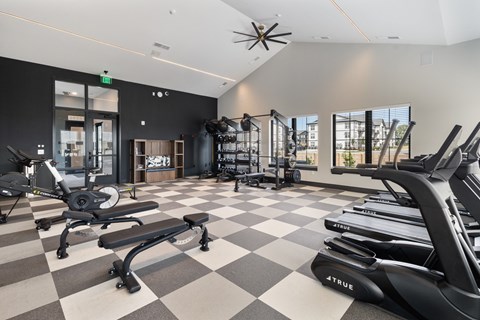 A gym with a variety of equipment including treadmills, weights, and a bench press.