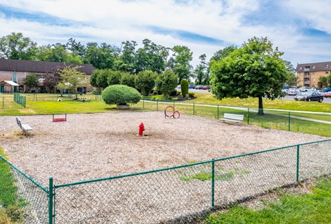 A playground with a red fire hydrant and a green fence.