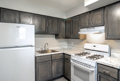 8118 Verree Rd E206 Studio-2 Beds Apartment for Rent